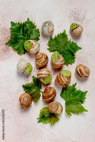 snails stuffed in Burgundy, top view, with grape leaves, French cuisine, no people,