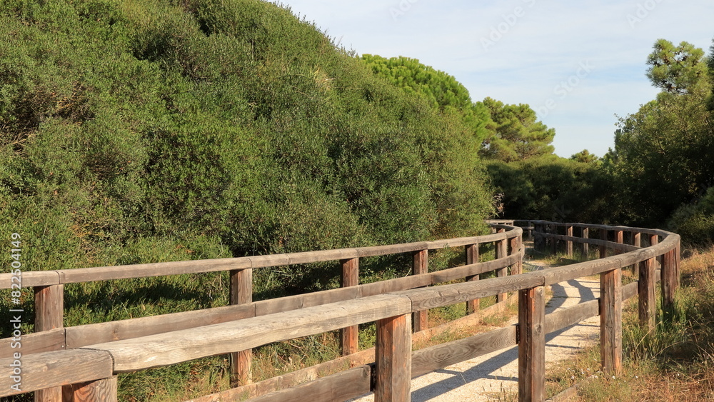 Lido Adriano Passerella di legno che porta sulla spiaggia. Lido Adriano Passerella di legno che porta sulla spiaggia.
