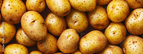 Fresh potatoes background. Top view