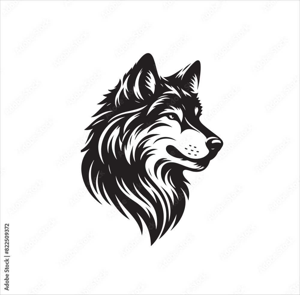 Silhouette of wolf on white background
