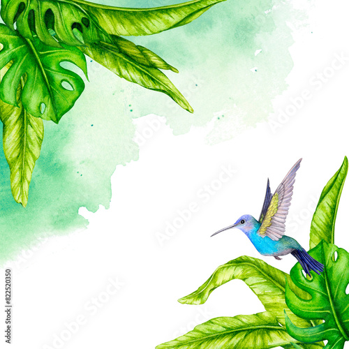 Frame of tropical leaves and hummingbirds. Watercolor botanical illustration. Flower composition. Design for invitations, posters, cards, greeting cards, stationery, fabric printing, etc.