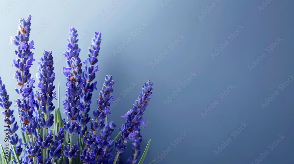 Fototapeta premium A blue table holds a cluster of purple flowers, surrounded by a vase filled with similar blooms Behind is a blue wall with a blue sky forming its backdrop