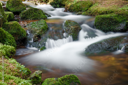 A tranquil small waterfall nestled within the heart of a lush forest