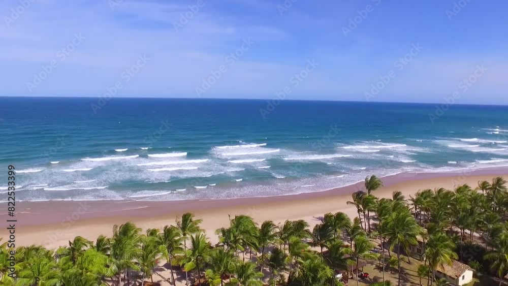 Drone levanta vôo entre coqueiros mostrando o mar em praia paradisíaca vazia no litoral da Bahia, Brasil. Filme aéreo de ondas quebrando no mar.
