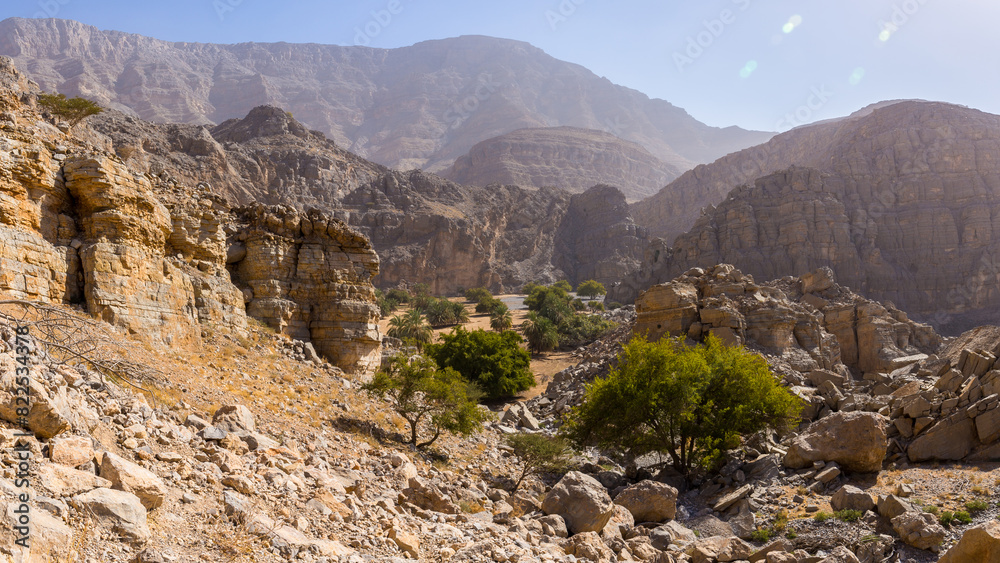 Hidden Oasis in Jabel Jais mountain range, panorama with green lush palm trees and acacia trees, rocky mountains in the background. Hidden Oasis in Jabel Jais mountain range, panorama with green lush palm trees and acacia trees, rocky mountains in the background.