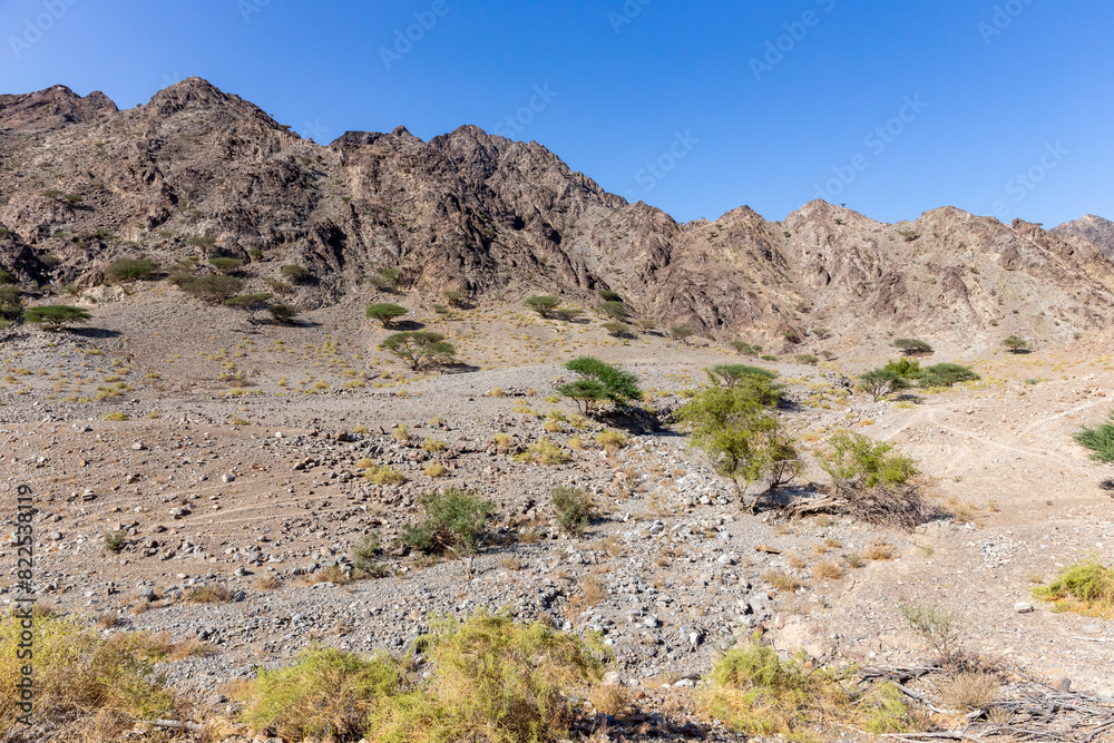 Dry, barren landscape of Hajar Mountains in United Arab Emirates with acacia trees and rocky limestone mountains. Dry, barren landscape of Hajar Mountains in United Arab Emirates with acacia trees and rocky limestone mountains.