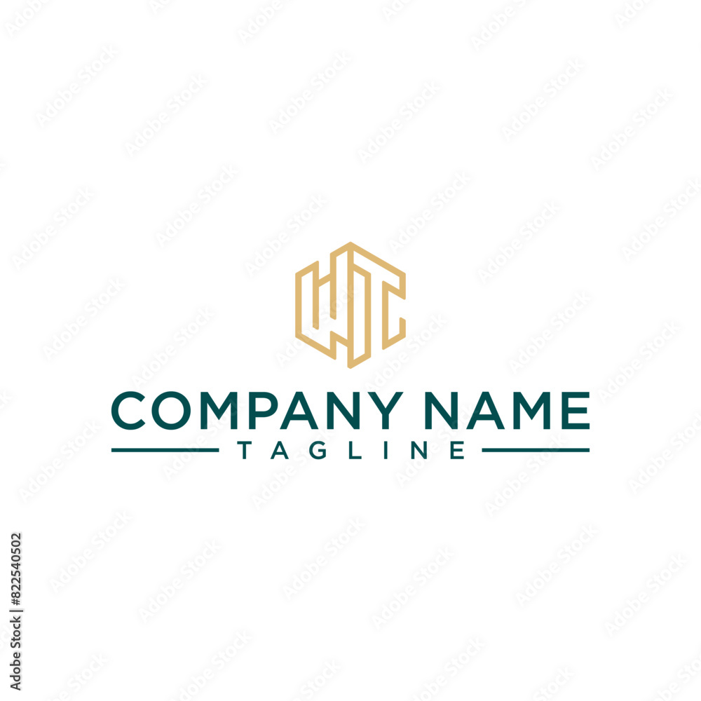 WT letter shaped hexagon and cube logo with letter design for company identity WT letter shaped hexagon and cube logo with letter design for company identity