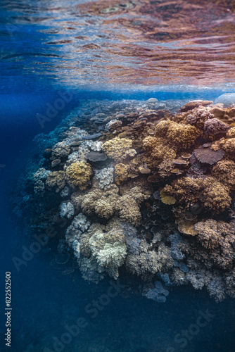 sea and rocks