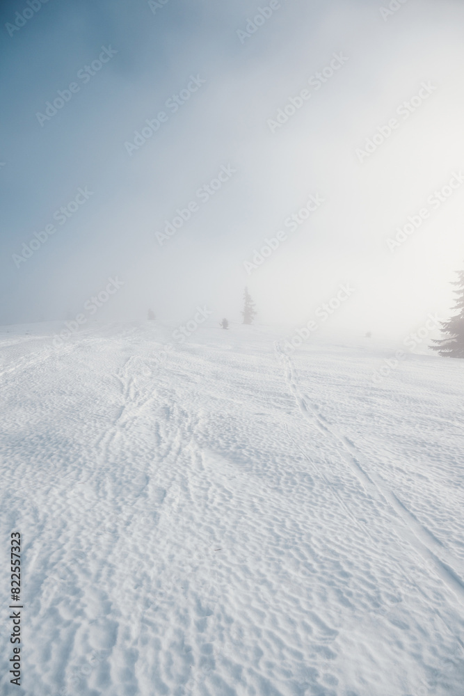 Alpine mountains landscape with white snow and blue sky. Sunset winter in nature. Frosty trees under warm sunlight. Wintry landscape. Donovaly, Low tatras Alpine mountains landscape with white snow and blue sky. Sunset winter in nature. Frosty trees under warm sunlight. Wintry landscape. Donovaly, Low tatras