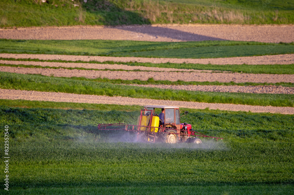 Fototapeta premium prace polne