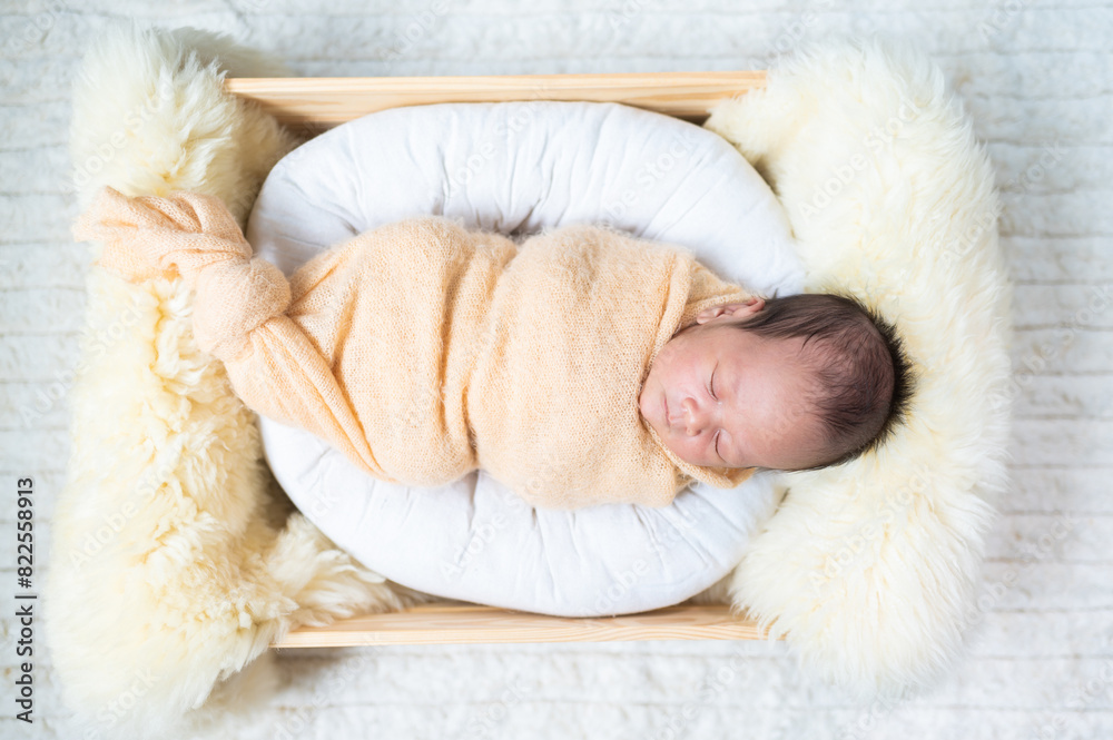 Fototapeta premium Portrait of Newborn baby in costume sleeping in baby case
