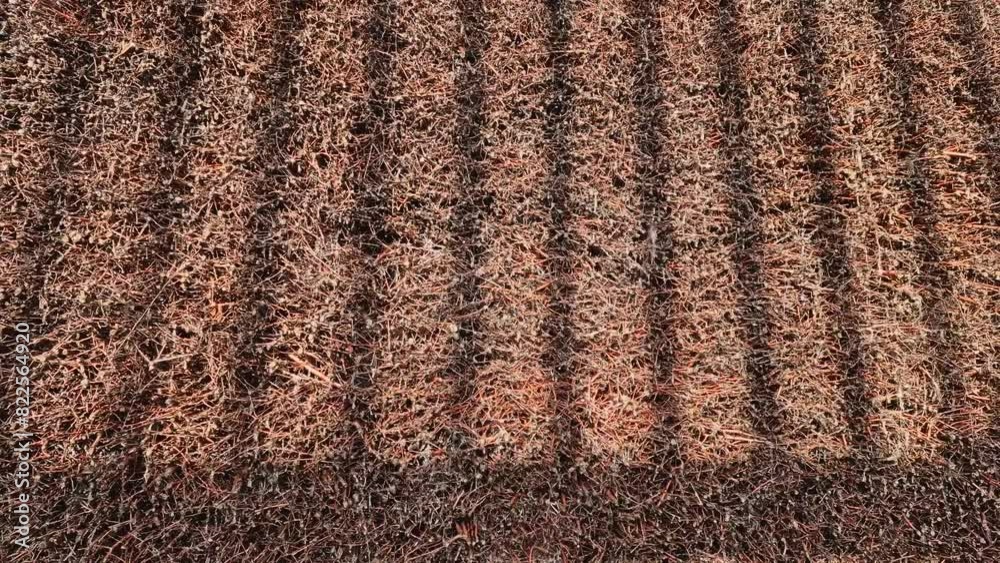 The cooling tower or saline is a structure made of bundles of twigs of blackthorns, through which the water of salt springs flows The cooling tower or saline is a structure made of bundles of twigs of blackthorns, through which the water of salt springs flows