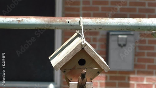 birdhouse on a pole