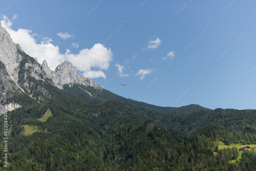 Naklejka premium View of the Alpine mountains and bird
