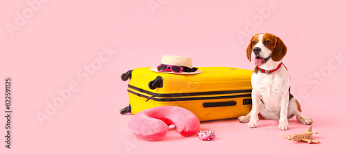 Cute Beagle dog with suitca...