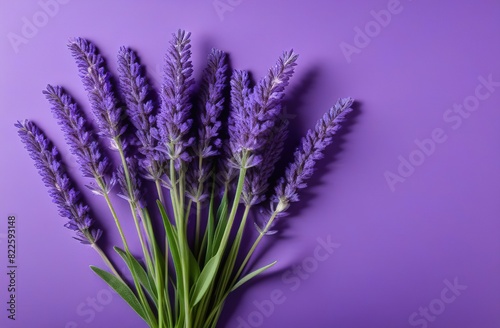 bunch of lavender flowers on wooden background