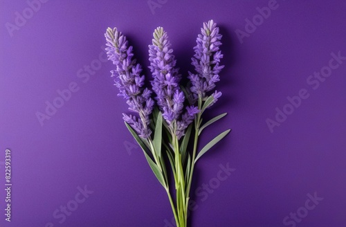 bunch of lavender flowers on wooden background