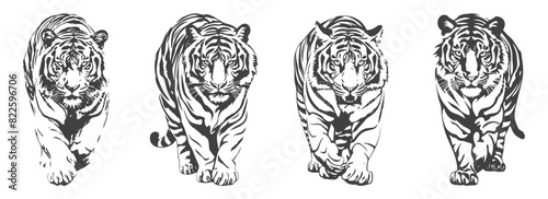 set of tiger silhouettes, black and white vector design, generated ai