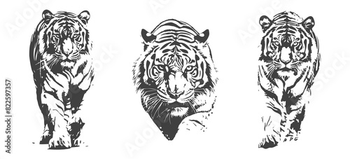set of tiger silhouettes, black and white vector design, generated ai