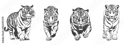 set of tiger silhouettes, black and white vector design, generated ai