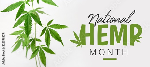 Banner for National Hemp Month photo