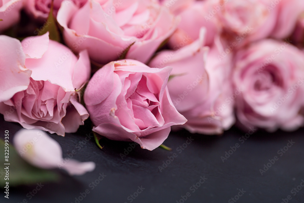 Fototapeta premium Beautiful pink roses card, closeup