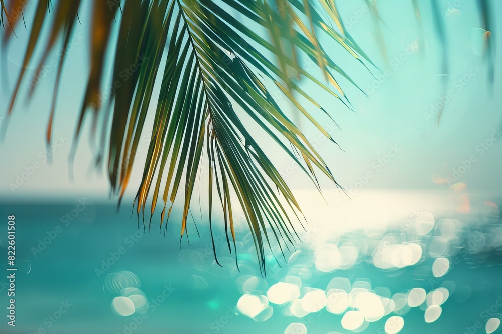 A palm tree by ocean