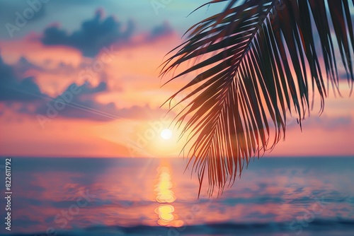 Palm leaf against sunset ocean