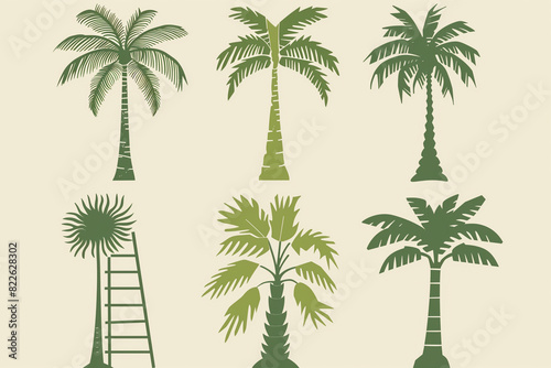 Group of  isolated Vector plam Coconut  tree set collection on white background illustration