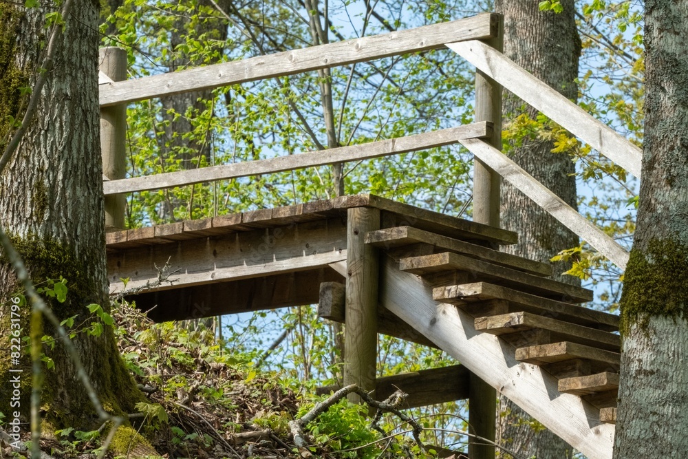 Wooden Bridge Amidst Natures Tranquil Beauty Wooden Bridge Amidst Natures Tranquil Beauty