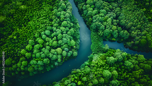 River and green forest in Tuchola natural park, aerial view  © BOTAHRY DEX