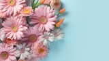 Delicate pink and white flowers on a soft blue background. A close up of pink flowers with slender petals and a yellow center against a blue background. Floral design concept for springtime. AIG35.