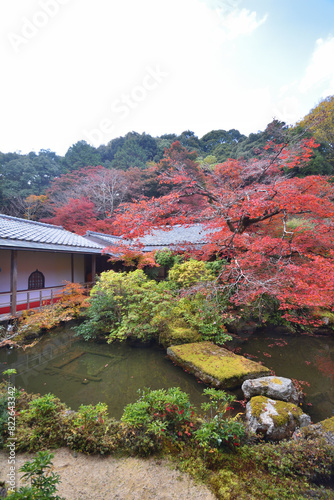 実相院門跡の紅葉