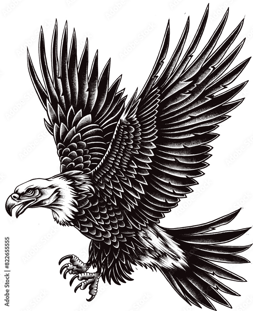 Fototapeta premium Eagle Vector Illustrations