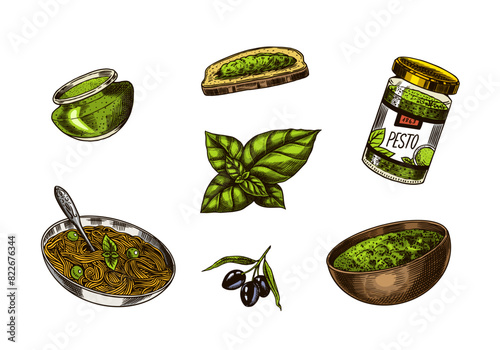 Pesto sauce set. Basil leaves, garlic, pine nuts, hard parmesan cheese, olive oil, pesto alla genovese. Spicy condiment, glass bottle, wooden spoon or dish, bunch of seeds. Engraved hand drawn sketch.