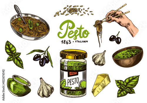Pesto sauce set. Basil leaves, garlic, pine nuts, hard parmesan cheese, olive oil, pesto alla genovese. Spicy condiment, glass bottle, wooden spoon or dish, bunch of seeds. Engraved hand drawn sketch.