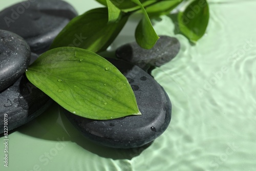 Spa stones and fresh leaves on light green background, closeup