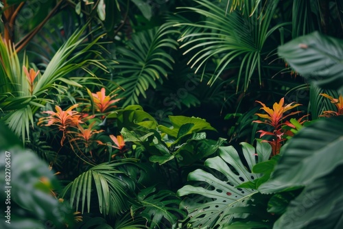 An array of tropical plants with lush green leaves and vibrant red young leaves at the focal point