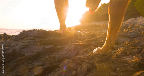 LENS FLARE, CLOSE UP: Rays of sun shine between legs of woman and dog on a relaxing beach walk in golden evening light. Rugged rocky shore glows as warm rays of setting sun reflect off the wet rocks. photo