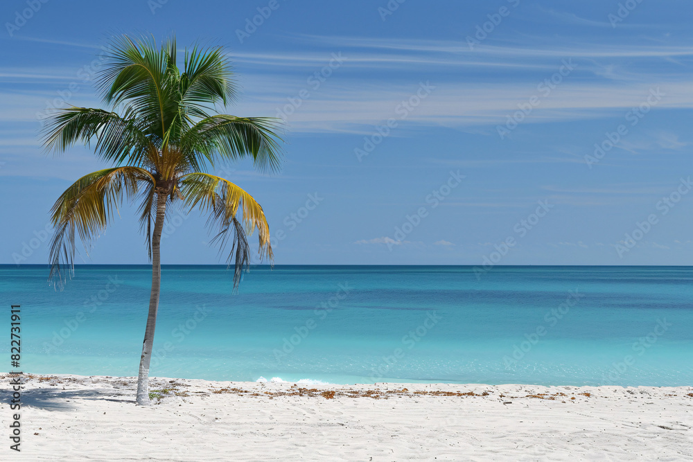 Tranquil beach scene with turquoise waters white sand