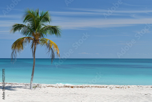 Tranquil beach scene with turquoise waters white sand