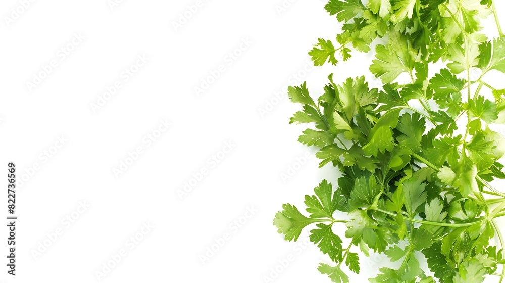 Fresh green vegan vitamin parsley isolated on white background : Generative AI Fresh green vegan vitamin parsley isolated on white background : Generative AI