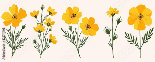 Design a series of Summer Flower Power social media graphics