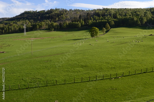 Rolling pastureland at Dunfallandy, Pitlochry, Perthshire, Scotland