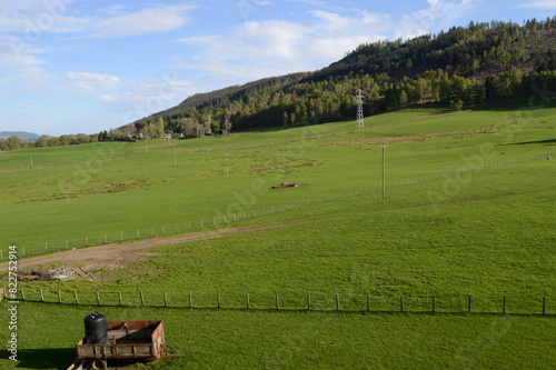 Rolling pastureland at Dunfallandy, Pitlochry, Perthshire, Scotland