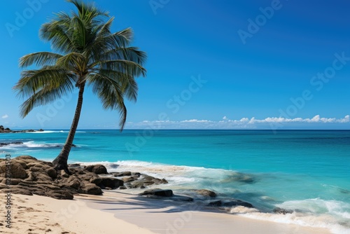 Lonely coconut tree on deserted beach., generative IA © JONATAS