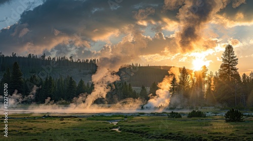 A sunset landscape at the Upper Geyser Basin in Yellowstone National Park, where steam rises from geyser vents and hot springs near a forest of lodgepole pine trees, and a herd of bison photo