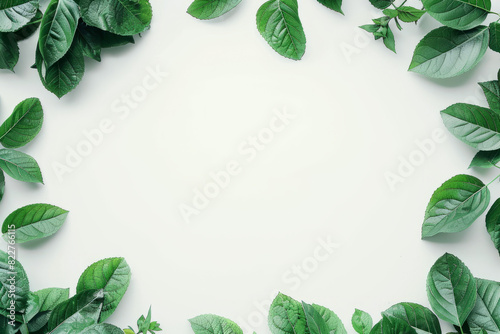Beautiful Green Leaf Frame on a Crisp White Background