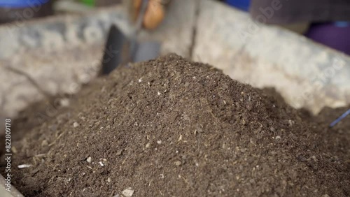 Wallpaper Mural A woman's hands mixing fertilizer with soil to fertilize a home garden.
 Torontodigital.ca