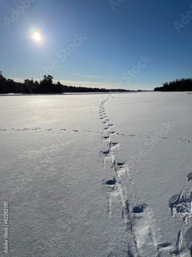 footprints in the snow